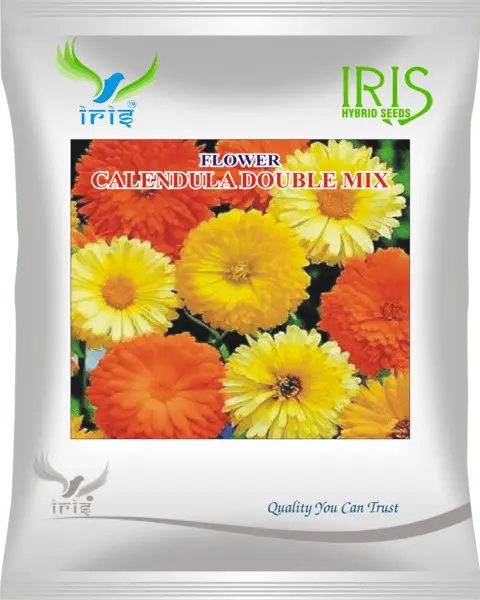 Iris Hybrid Imported Op Calendula Mix 1