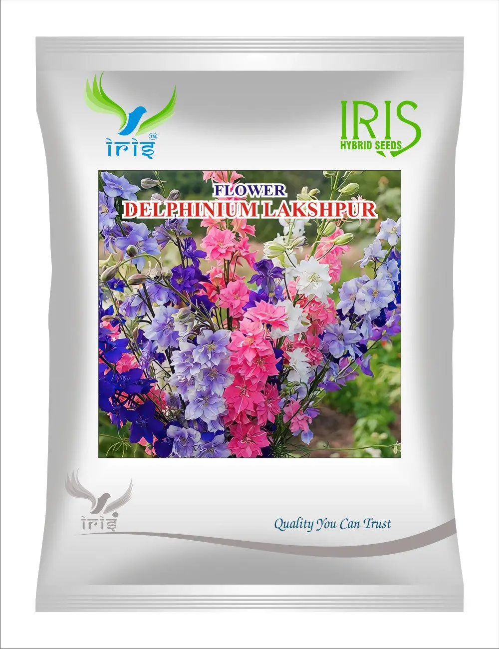 Iris Hybrid Imported Op Delphinium Larkspur 1