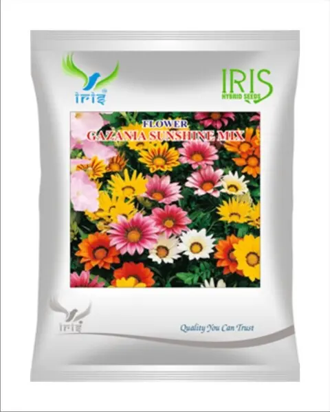Iris Hybrid Imported Op Gazania Sunshine Mix 1