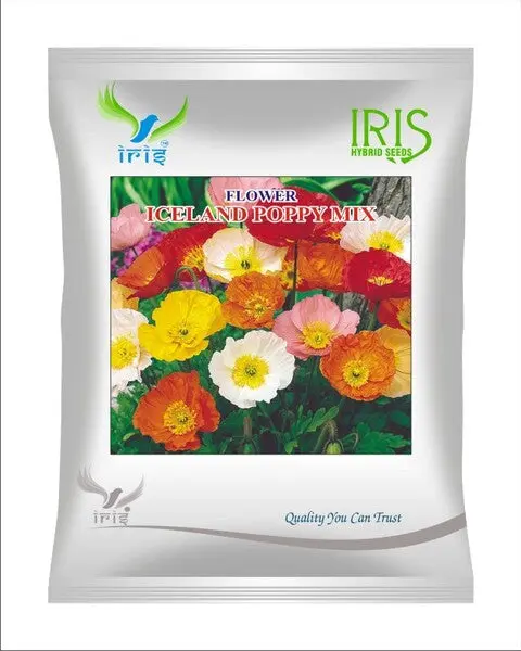 Iris Hybrid Imported Op Iceland Poppy Mix 1
