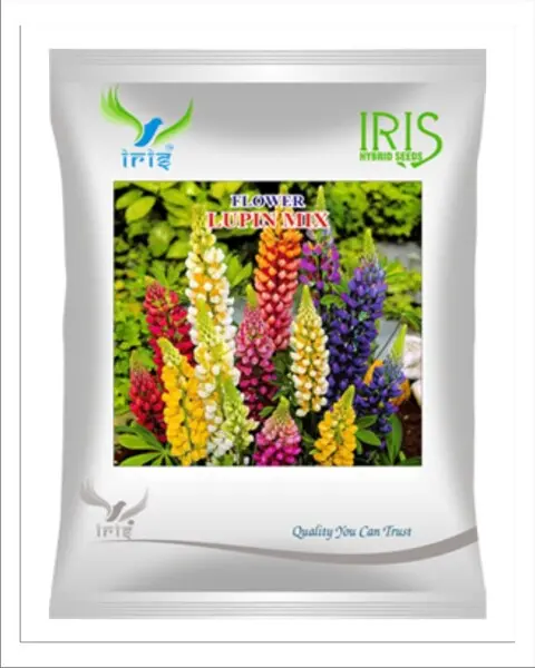 Iris Hybrid Imported Op Lupin Mix 1