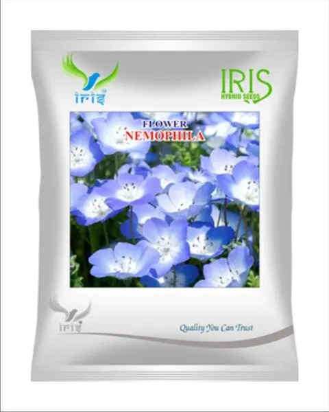Iris Hybrid Imported Op Nemophila Mix 1