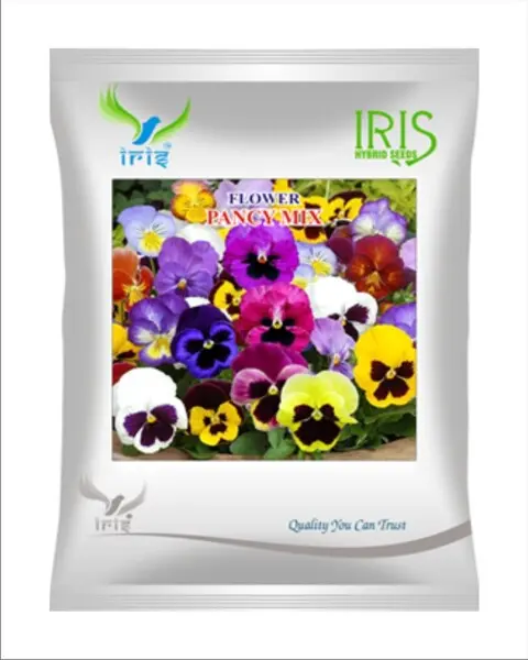 Iris Hybrid Imported Op Pancy Mix 1