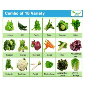 Iris Hybrid Pack Of 18 Variety Of Vegetables, Fruits And Herbs Seeds For Kitchen Garden 1