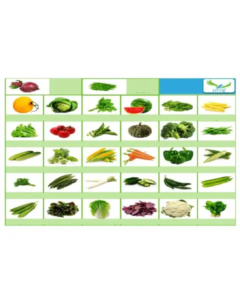 32 Variety Of Vegetables, Fruits And Herbs Seeds 1