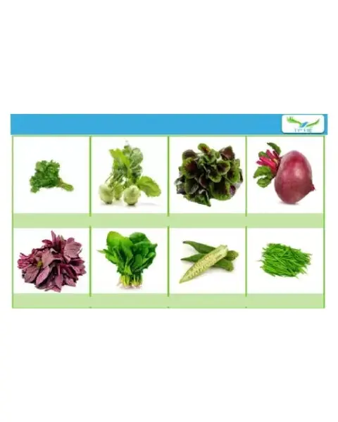 Iris Hybrid 8 Varieties Of Vegetables, Fruits & Herbs Seeds 1