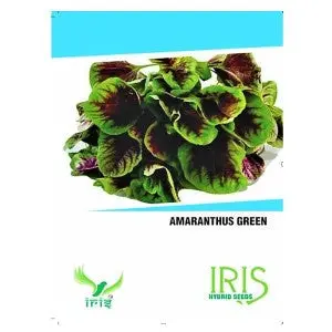 Iris Hybrid Op Amaranthus Green Vegetable Seeds 1
