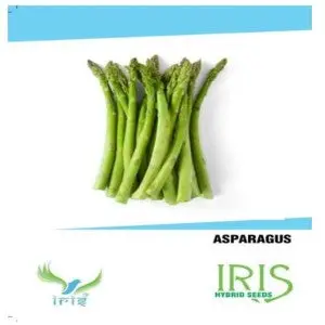 Iris Hybrid Vegetable Seeds Asparagus 1