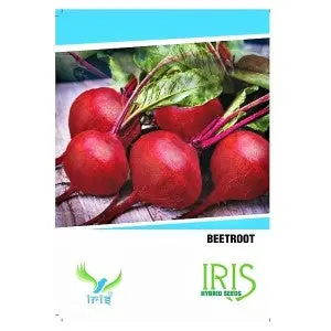 Iris Hybrid Op Beetroot Seeds- Winter Season,12 Weeks To Harvest 1