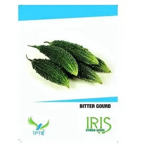 Iris Hybrid Vegetable Bitter Gourd Seeds 1