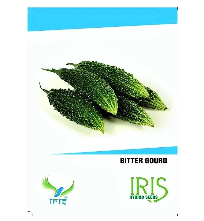 Iris Hybrid Vegetable Bitter Gourd Seeds 2