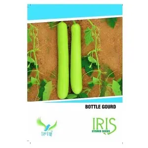Iris Hybrid Bottle Gourd Seeds - Summer Crop, 8-10 Weeks Duration 1