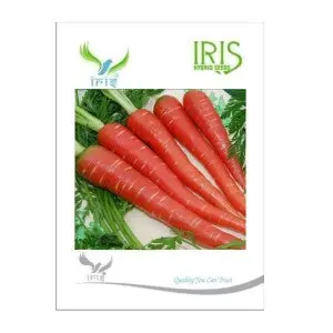Iris Hybrid Carrot Seeds - Red, Winter Crop, Balcony Friendly 1