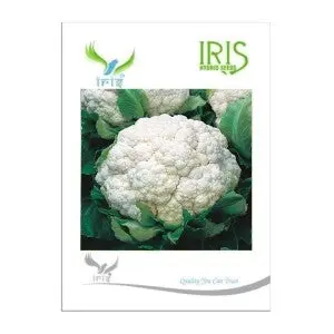 Iris Hybrid Cauliflower Seeds - All Seasons, 12-14 Weeks Maturity 1