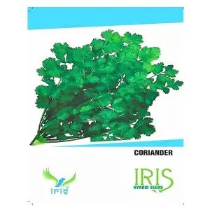 Iris Hybrid Coriander Seeds - Quick Harvest, All Season Cultivation 1
