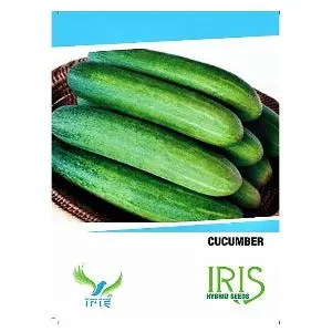 Iris Hybrid Cucumber Seeds - Organic, Easy Grow, Autumn Plant 1
