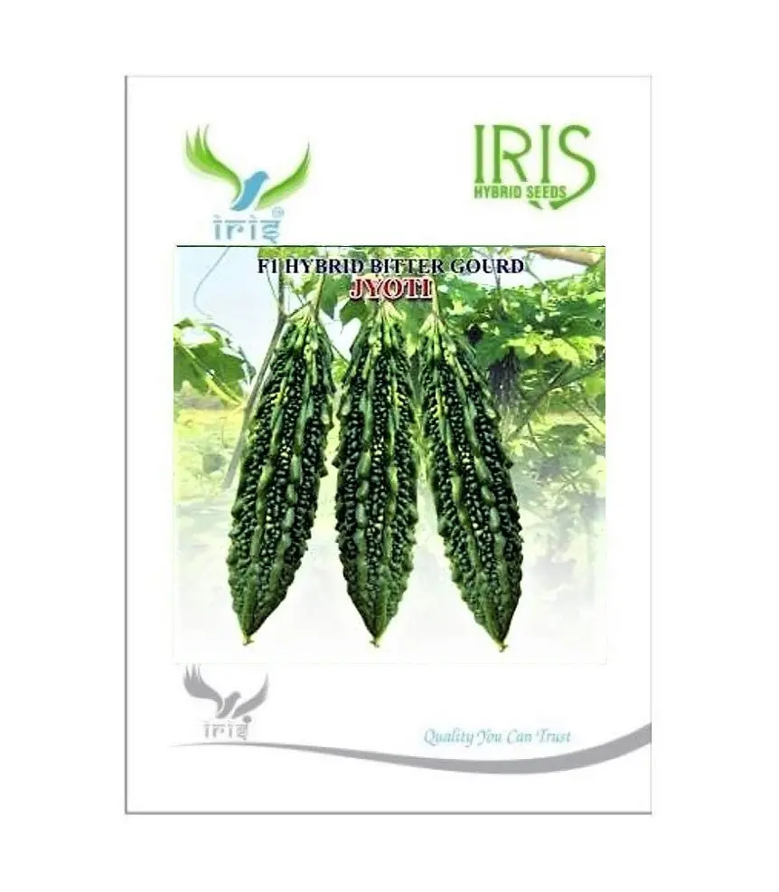 Iris Hybrid Jyoti Bitter Gourd Seeds 1