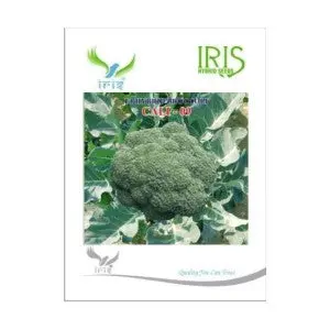Iris Cali-09 Broccoli Seeds - Tender, Dome Shaped, 500-600G, Disease Tolerant 1