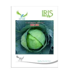Iris Hybrid Vegetable Seeds F1 Hybrid Cabbage Ihs-801 1