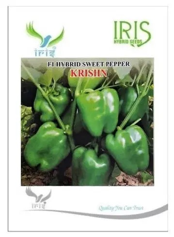 Iris Hybrid Green Capsicum - Krishn 1