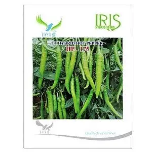 Iris Hybrid Vegetable Seeds Hot Pepper (Chilli) Hp-175 1