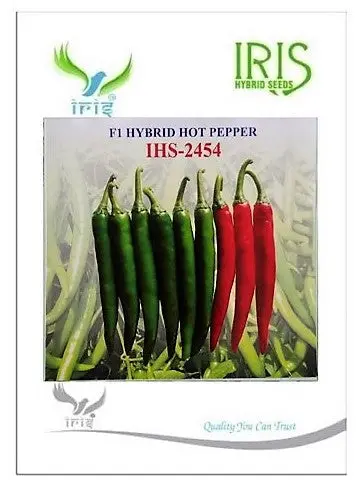 Iris Hybrid Vegetable Seeds F1 Hybrid Hot Pepper (Chilli) Ihs-2454 1