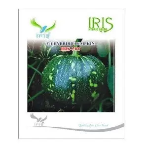 Iris Hybrid Vegetable Seeds F1 Hybrid Pumpkin Ihs-205 1