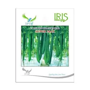 Iris Super Max Ridge Gourd - Rapid Growth, 35-40Cm, Good Yield 1