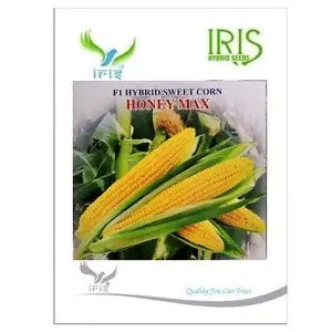 Iris Hybrid Vegetable Seeds F1 Hybrid Sweet Corn Honeymax 1