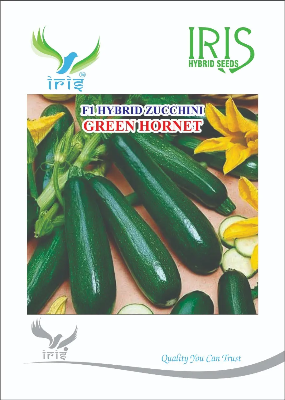 Iris Hybrid Vegetable Seeds F1 Hybrid Zucchini Green Hornet 1