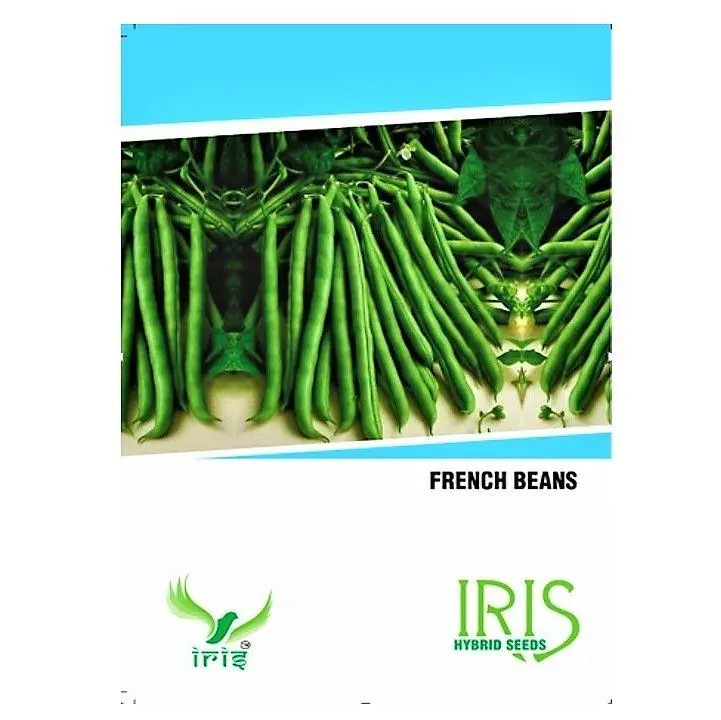 Iris Hybrid French Beans - All Season, Balcony Friendly, Quick Growing 1