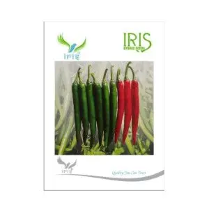 Iris Hybrid Vegetable Seeds Green Chilli 1