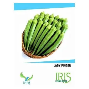 Iris Hybrid Okra Seeds - Heavy Fruiting, All Season, Balcony Fit 1