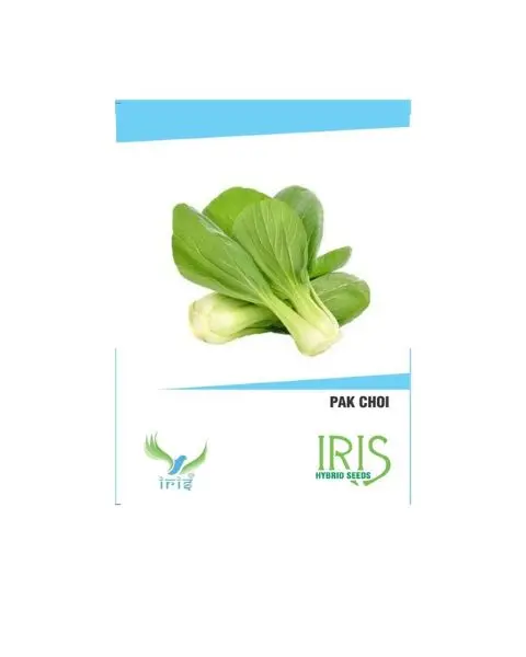 Iris Hybrid Vegetable Seeds Pak Choi 1