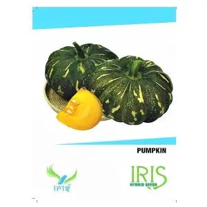 Iris Hybrid Pumpkin Seeds - All Season, 13-14 Weeks Duration 1