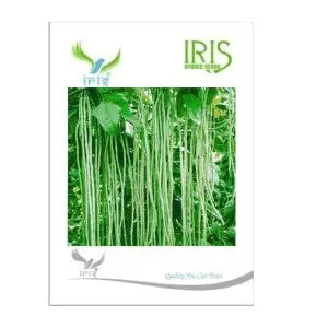 Iris Hybrid Yardlong Beans - Strong Growth, Heat Tolerant, Firm Pod 1