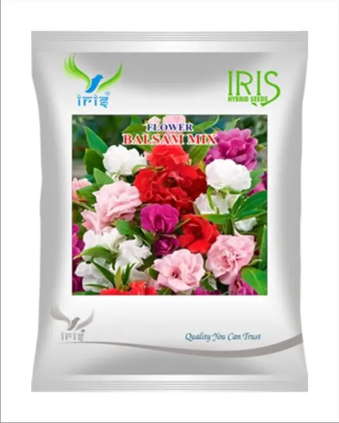 Iris Imported Op Balsam Mix 1