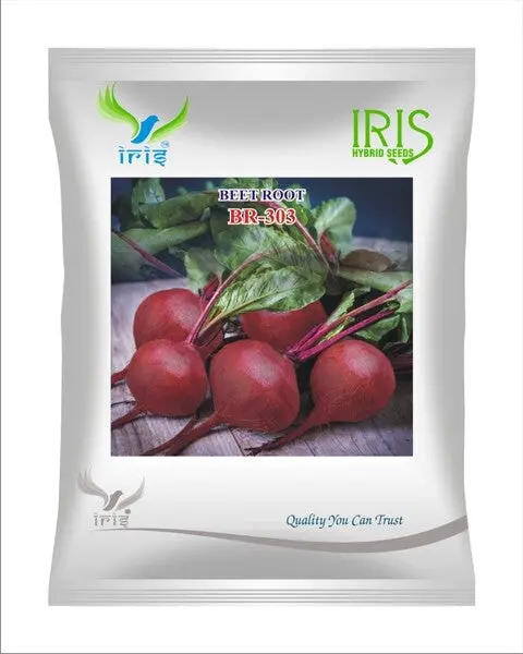 Iris Imported Op Beetroot Br-303 1