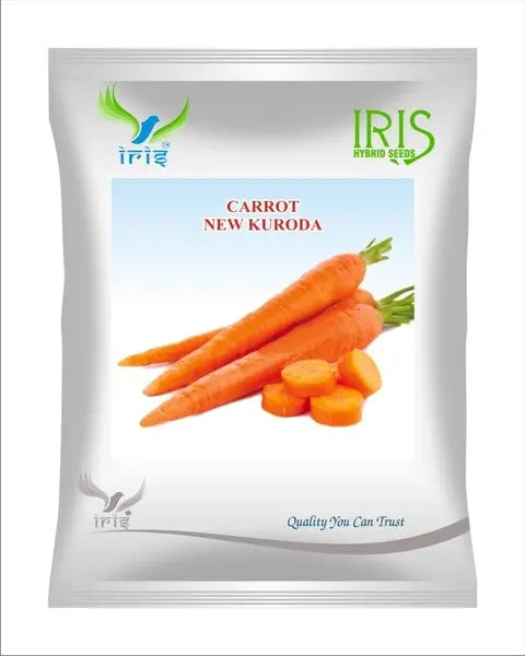 Iris Imported Op Carrot New Kuroda 1