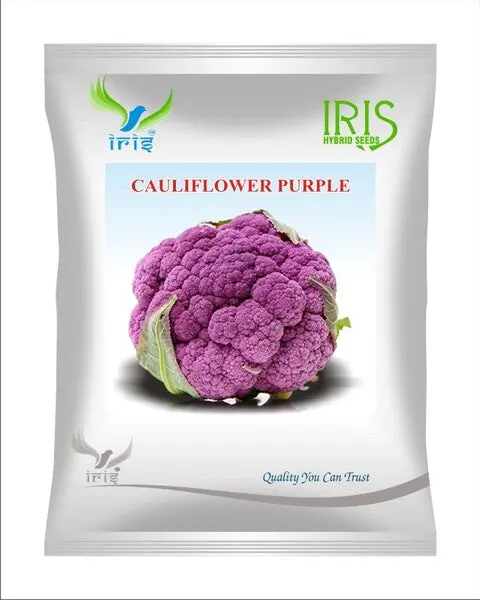 Iris Imported Op Cauliflower Purple 1