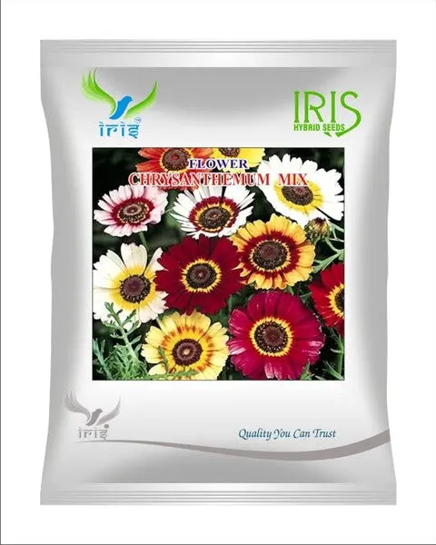 Iris Imported Op Chrysanthemum Carinatum Mix 1