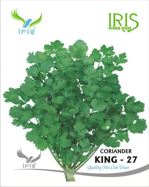Iris Imported Op Coriander King 27 Split 1