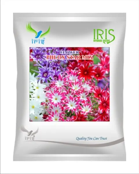 Iris Imported Op Phlox Star Mix 1
