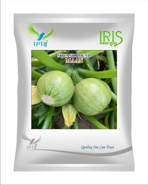 Iris Imported Op Squash Round Maan 1