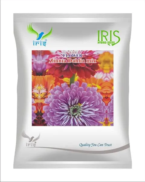 Iris Imported Op Zinnia Dahlia Mix 1