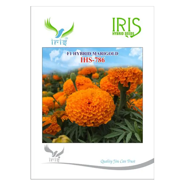 Iris Marigold Orange Ihs-786 F1 Hybrid Seeds – High Yield 1
