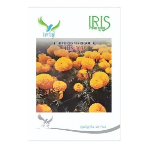 Iris Hybrid Flower Seeds F1 Hybrid Marigold Yellow Ihs-303 1