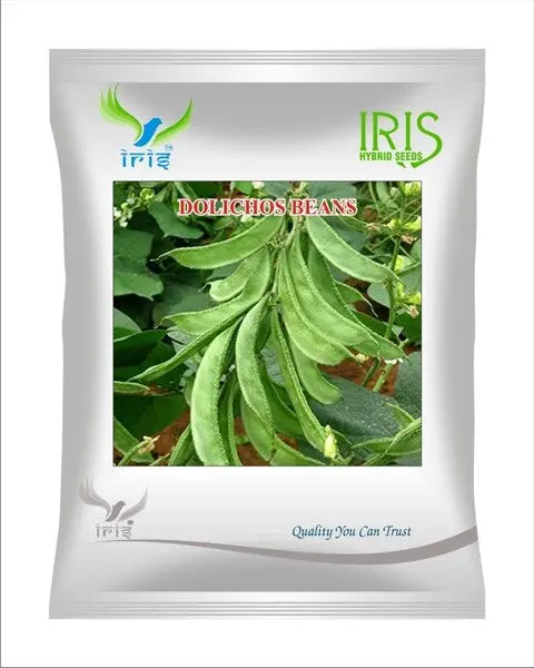 Iris Op Dolichos Beans (Sem Phalli) 1