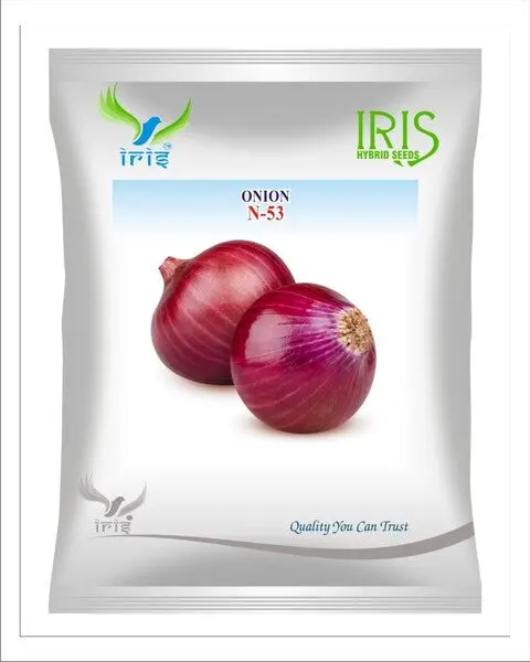 Iris N-53 Op Onion – High-Yielding Red Onions With Excellent Storage Quality 1
