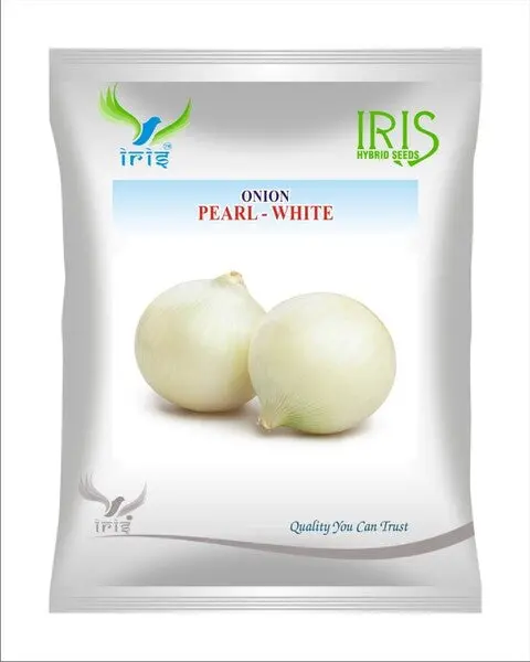 Iris Op Onion Pearl White – High-Yielding & Round White Bulbs 1